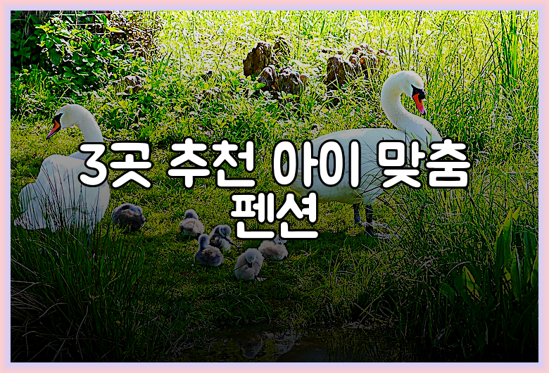 3곳 추천 아이 맞춤 펜션