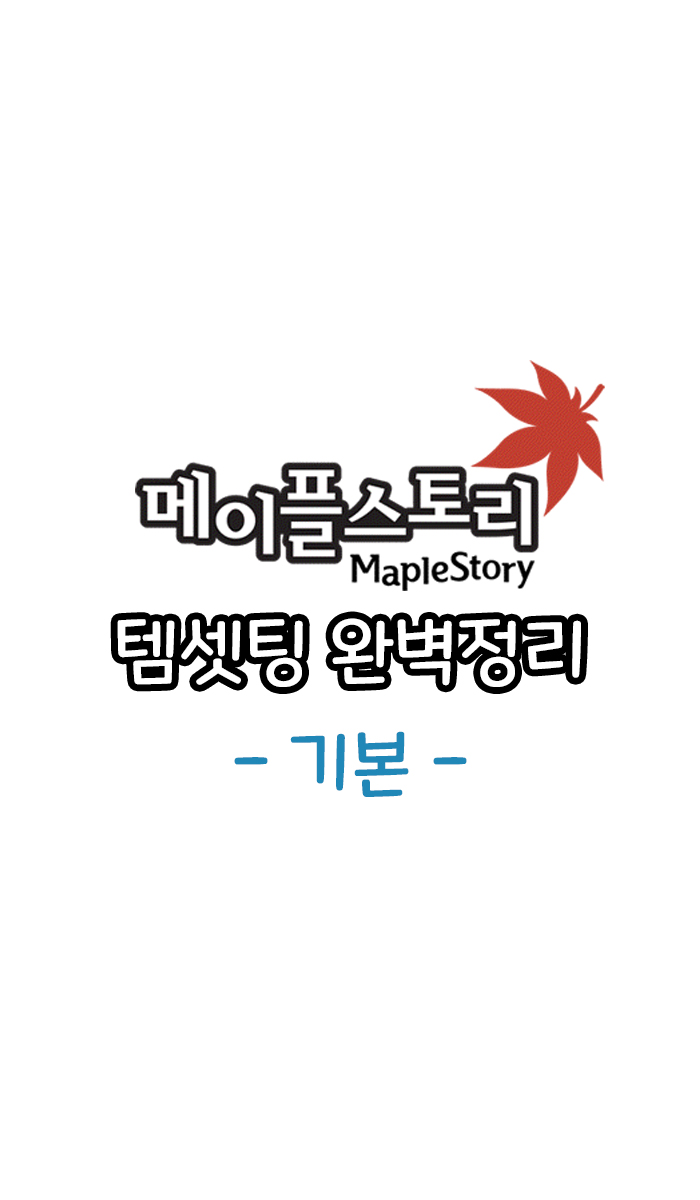 메이플스토리 템셋팅 완벽정리 - 기본 메이플스토리 템셋팅 완벽정리 - 기본