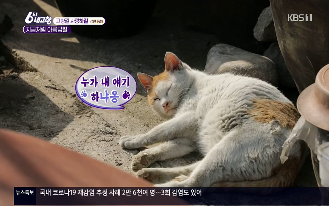 6시 내고향.E7512.220416p.H264-F1RST.mp4_20220502_192443.032.jpg