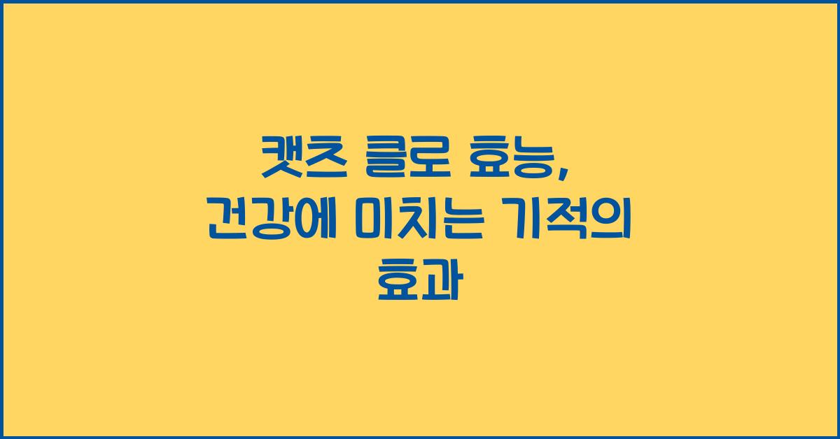 캣츠 클로 효능