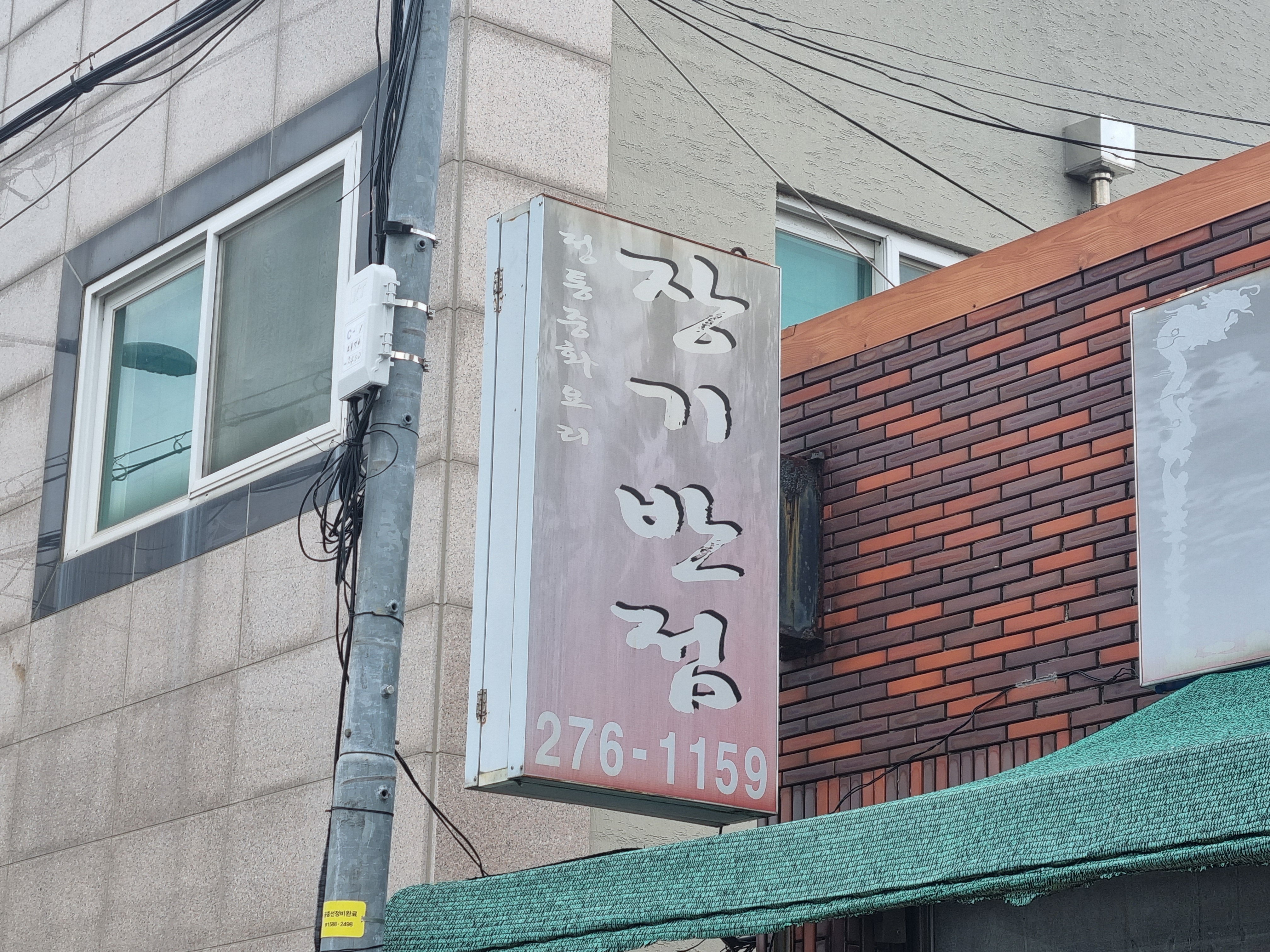 장기반점 이미지