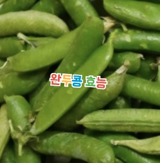 완두콩-효능