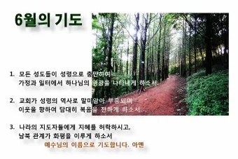 6월 둘째주 주일 대표 기도문 모음_8