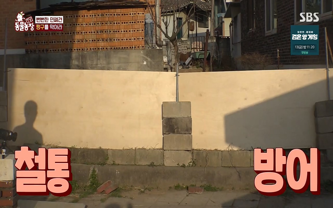 TV 동물농장.E1068.220509p-NEXT.mp4_20220508_173830.999.jpg