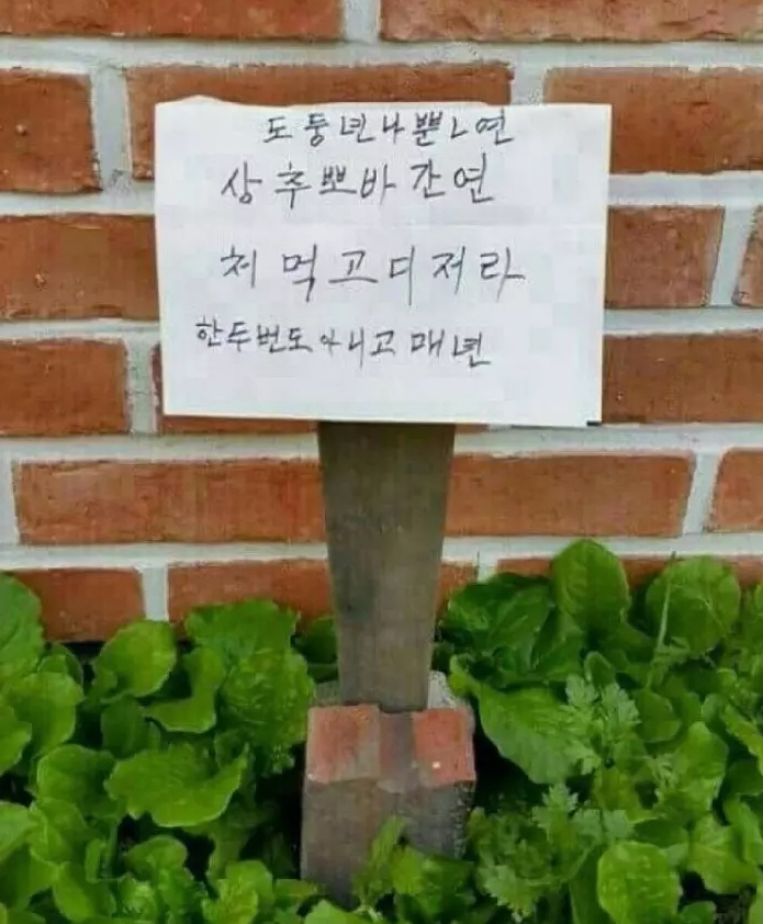  할미넴ㄷㄷㄷㄷㄷㄷ