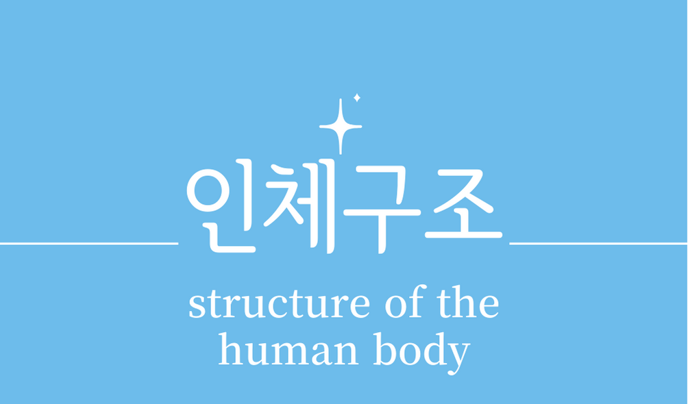 &#39;인체구조(structure of the human body)&#39;