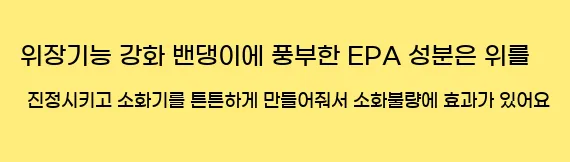  13. 위장기능 강화 밴댕이에 풍부한 EPA 성분은 위를 진정시키고, 소화기를 튼튼하게 만들어줘서 소화불량에 효과가 있어요.