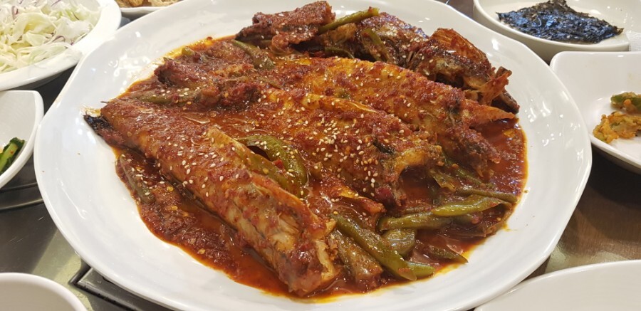  광진구 자양동 맛집 매콤 명태조림/파주카페 더티트렁크/강아지출산
