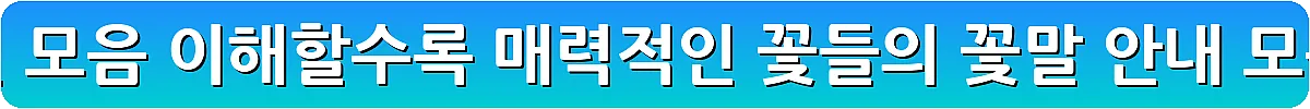 예쁜 꽃말 추천 모음 이해할수록 매력적인 꽃들의 꽃말 안내 모음_13