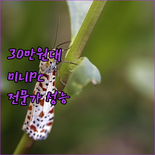 GMKtec 미니 PC K6.. 30