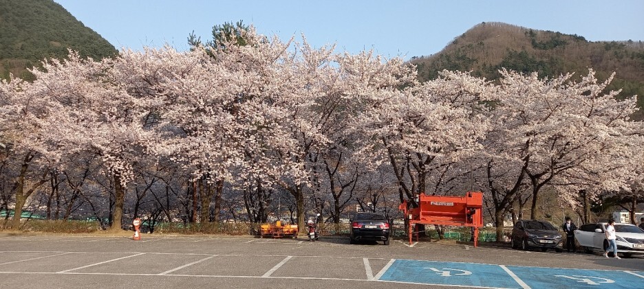 소달 이미지