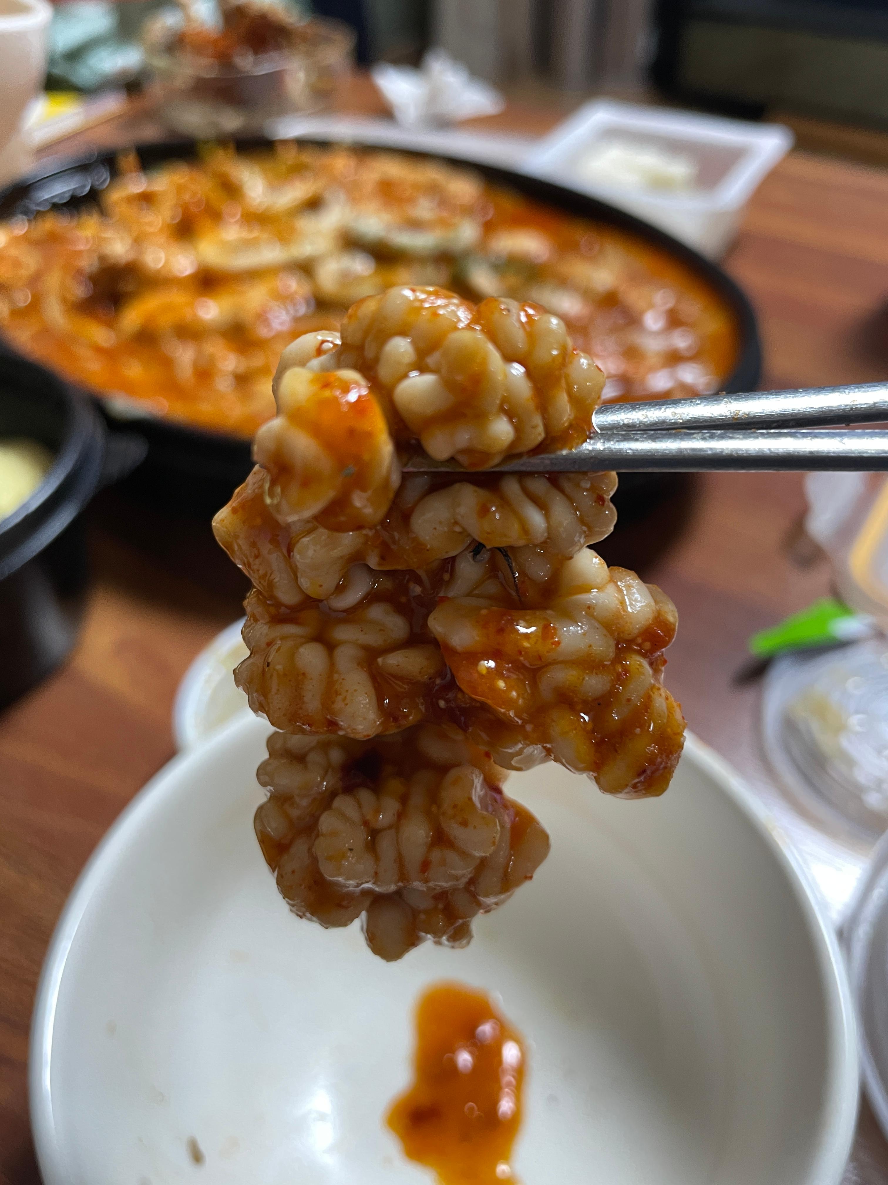 아구듬뿍알곤마니 이미지