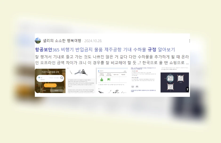 항공 보안 규정_7