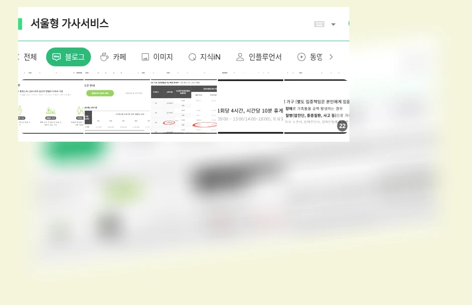 서울형 가사서비스_1_subsection