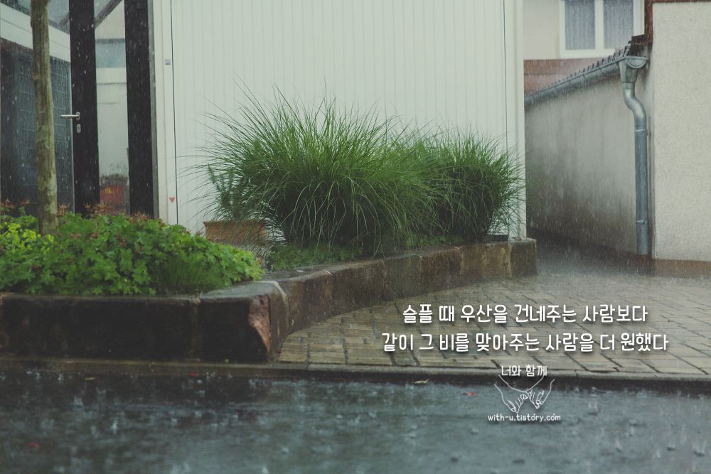  장마 명언 : 짧고 좋은 글귀 : 짧은 명언