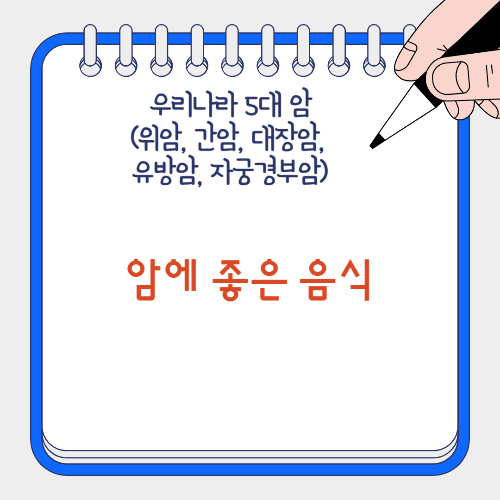 암에 좋은 음식