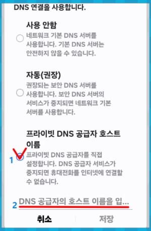 프라이빗 DNS 공급자 호스트 이름