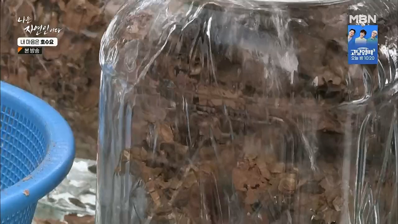 나는 자연인이다.E540.230209p.H264-F1RST.mp4_20230209_203729.414.jpg