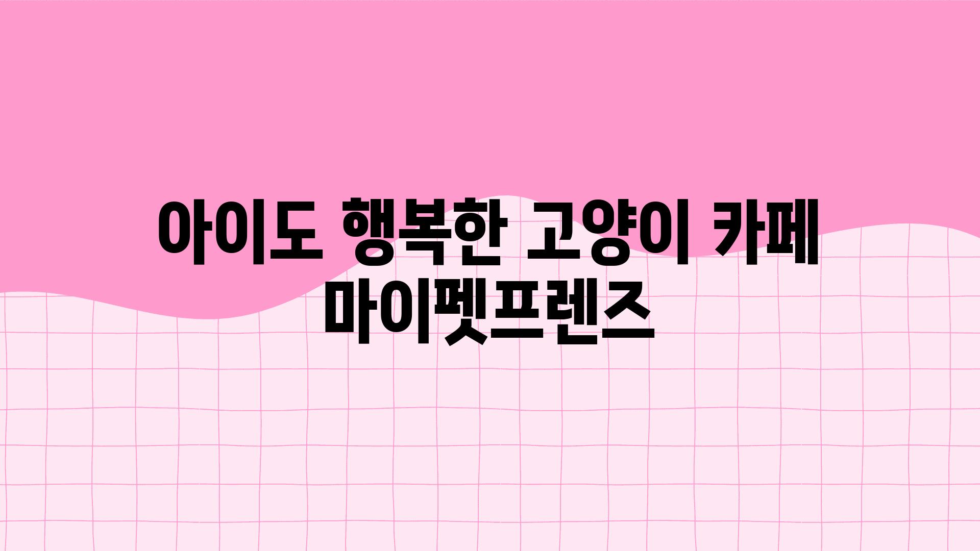 아이도 행복한 고양이 카페 마이펫프렌즈