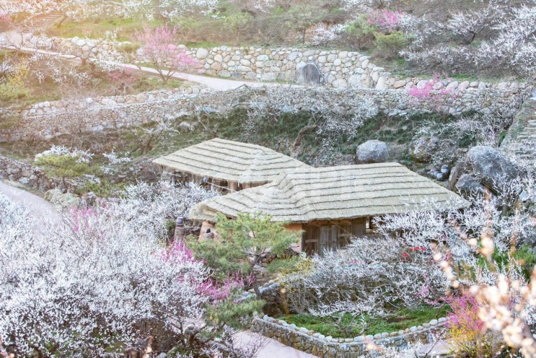 전국 봄축제