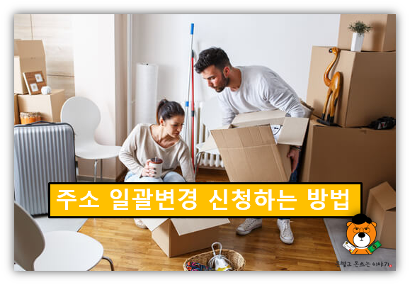  주소 일괄 변경 신청 하는 방법 / KT무빙, 금융주소 한번에 서비스