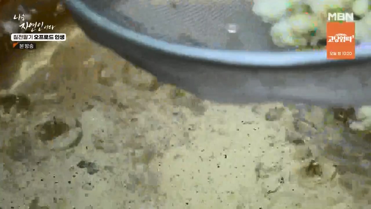 나는 자연인이다.E557.230608p-NEXT.mp4_20230608_194909.114.jpg