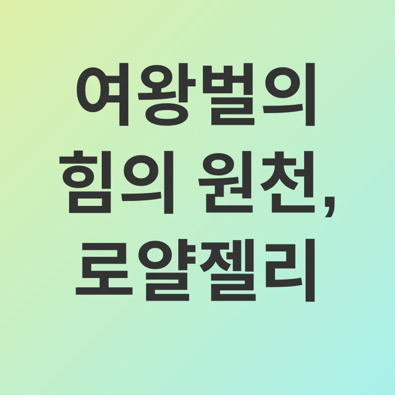 청소년 건강_2