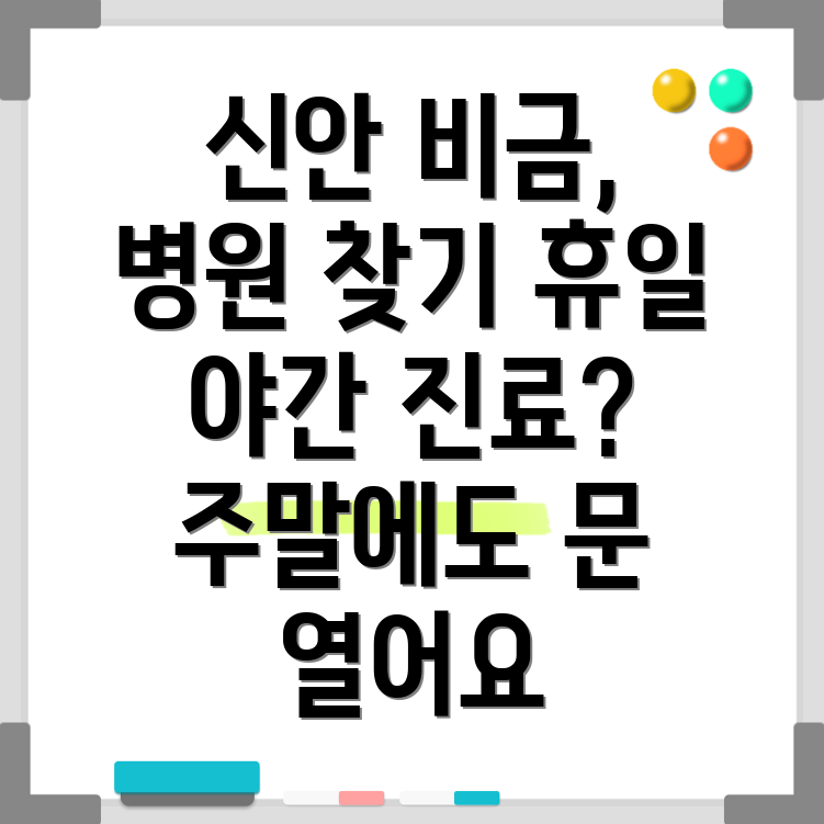비금면 휴일진료 병원