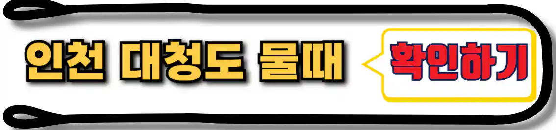 대청도 물때표