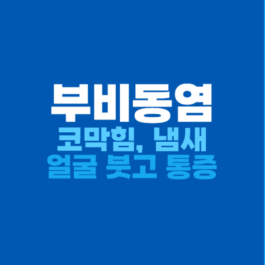 부비동염 치료