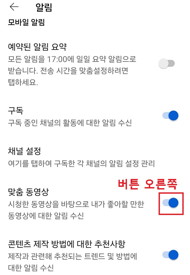 맞춤 동영상 알림 메뉴 보임