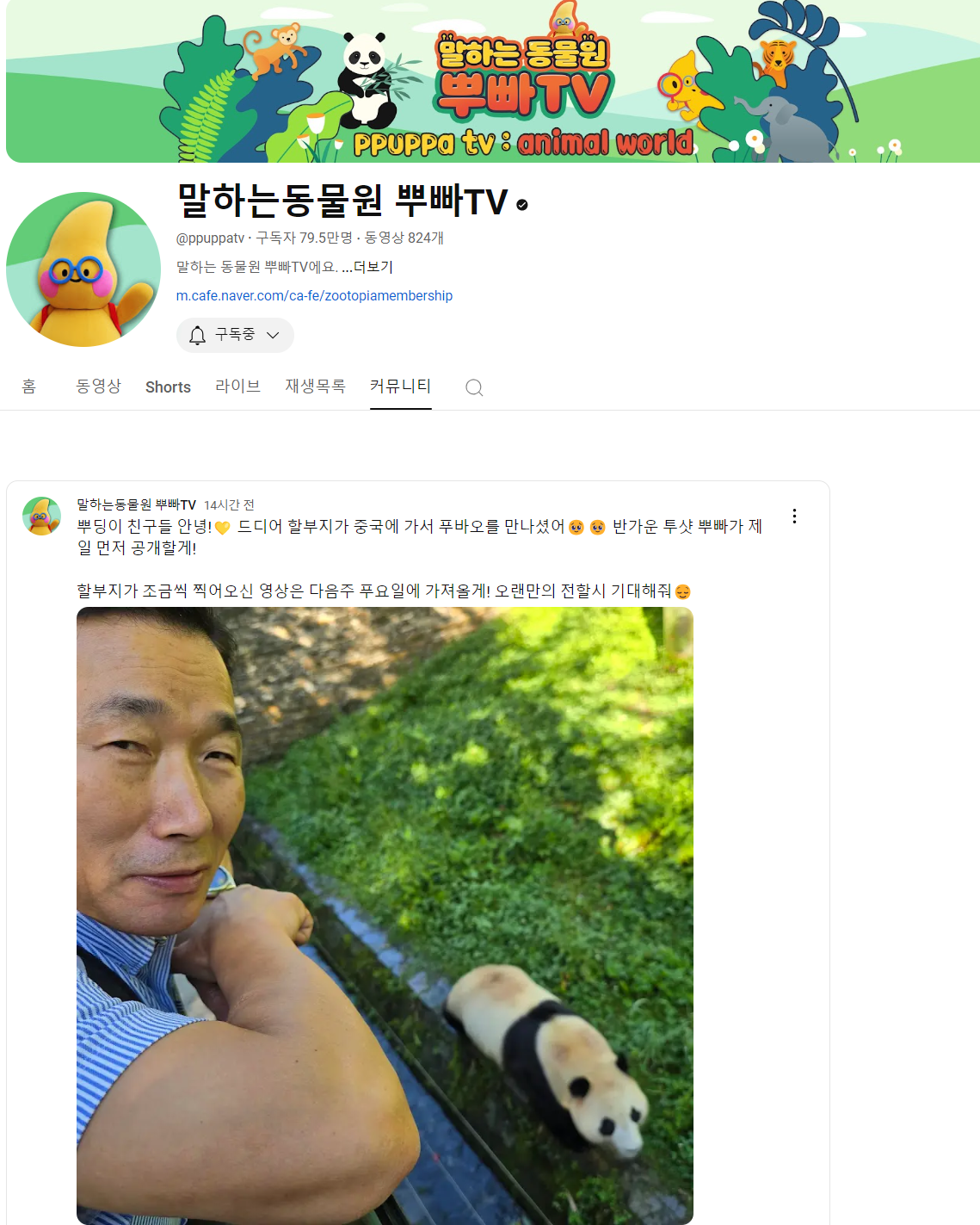 푸바오와 강할부지 만남?! 중국 간 강바오 사육사 동영상, 쌍둥바오 루이,후이 생일파티 인형, 굿즈