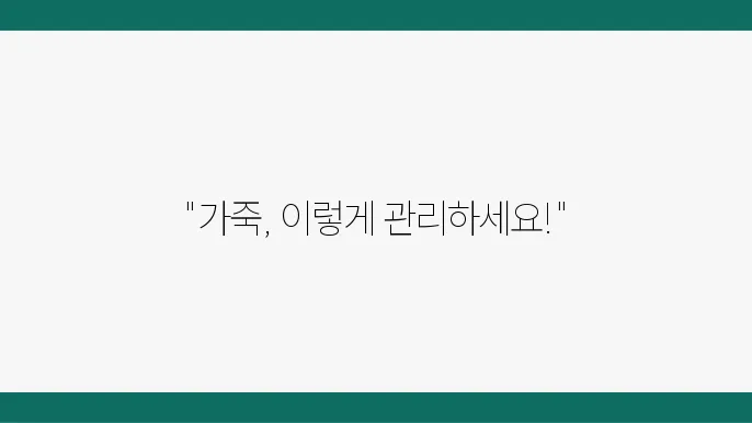 가죽 관리 꿀팁: 오랫동안 아름답게 사용하는 방법