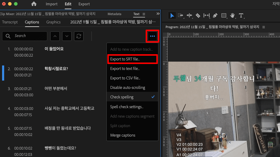 자막을 SRT 파일로 Export 하기