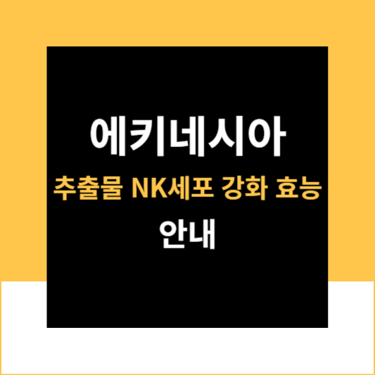 에키네시아 추출물 효능 NK세포 사이토카인 정보 안내