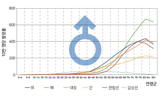 한국인 남성, 연령병 암 발생률