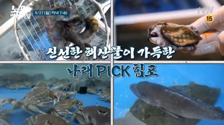 횟집-수족관-다양한-회