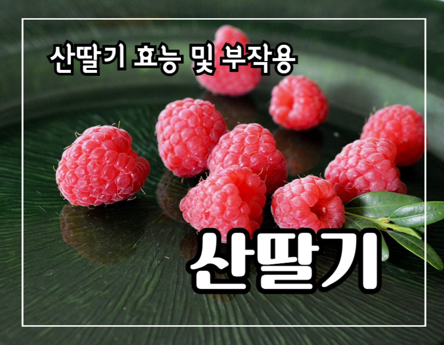 산딸기 효능 10가지 및 부작용 및 주의할 점