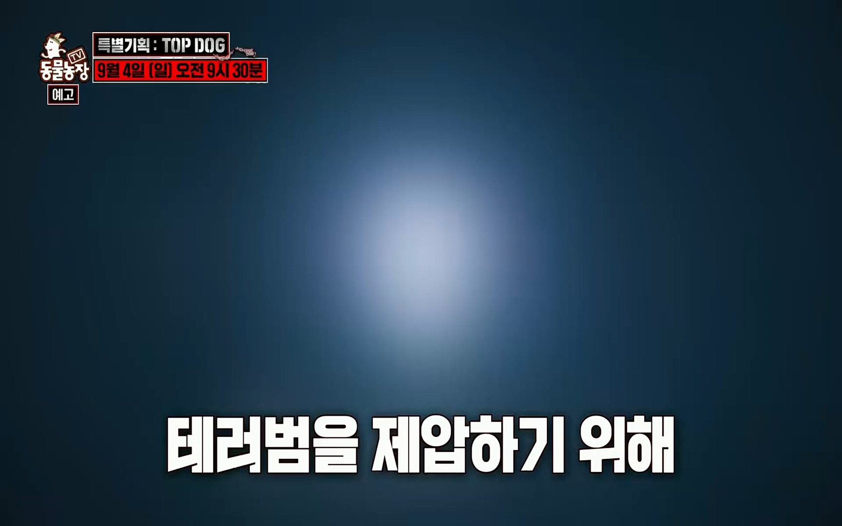 TV 동물농장.E1084.220828p.H264-F1RST.mp4_20220828_154105.494.jpg