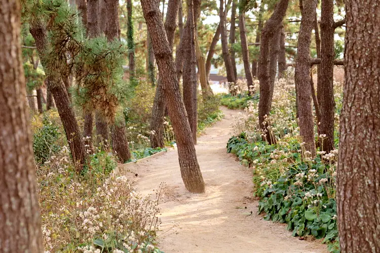 신계숙의 맛터싸이클 다이어리 한국 최초의 사립 수목원 태안 여행 코스와 펜션 숙박 가볼만한 곳 추천