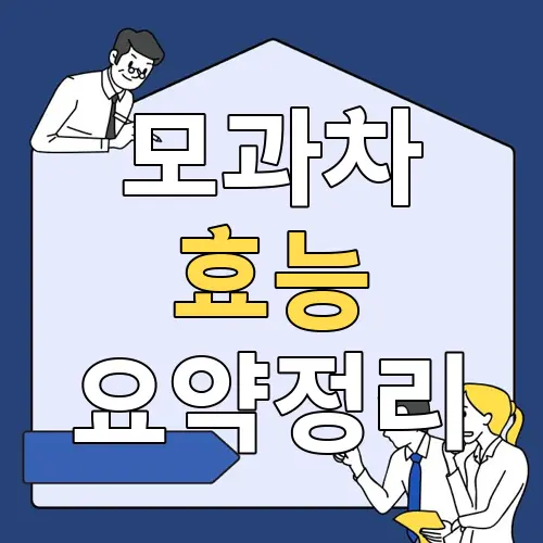 모과차 효능