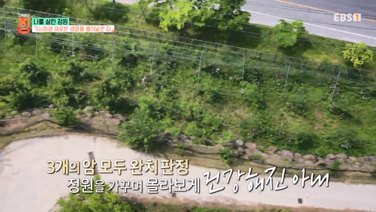 TV - 전 국민의 평생학교 EBS나를 살린 정원.mp4_20230814_210943.810.jpg