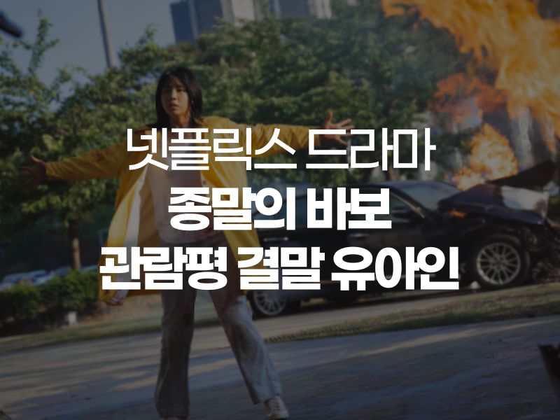  종말의 바보 넷플릭스 관람평 후기 결말 안은진 유아인