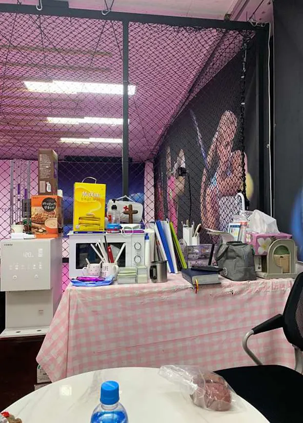 이프로테니스 고려대점