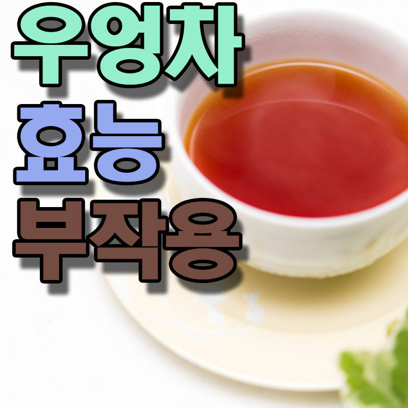 우엉차 효능 부작용