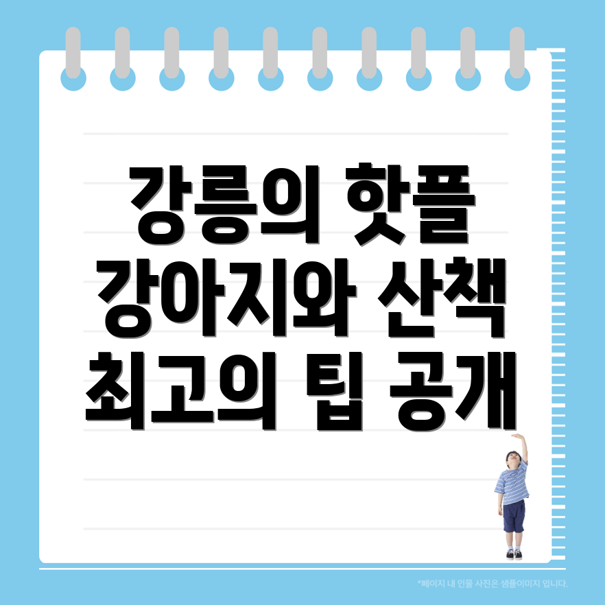 강릉시 남항진동 강아지 산책