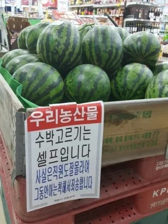 맛있는 수박 고르는법 5가지 feat 좋은 수박 암수 구별법_10