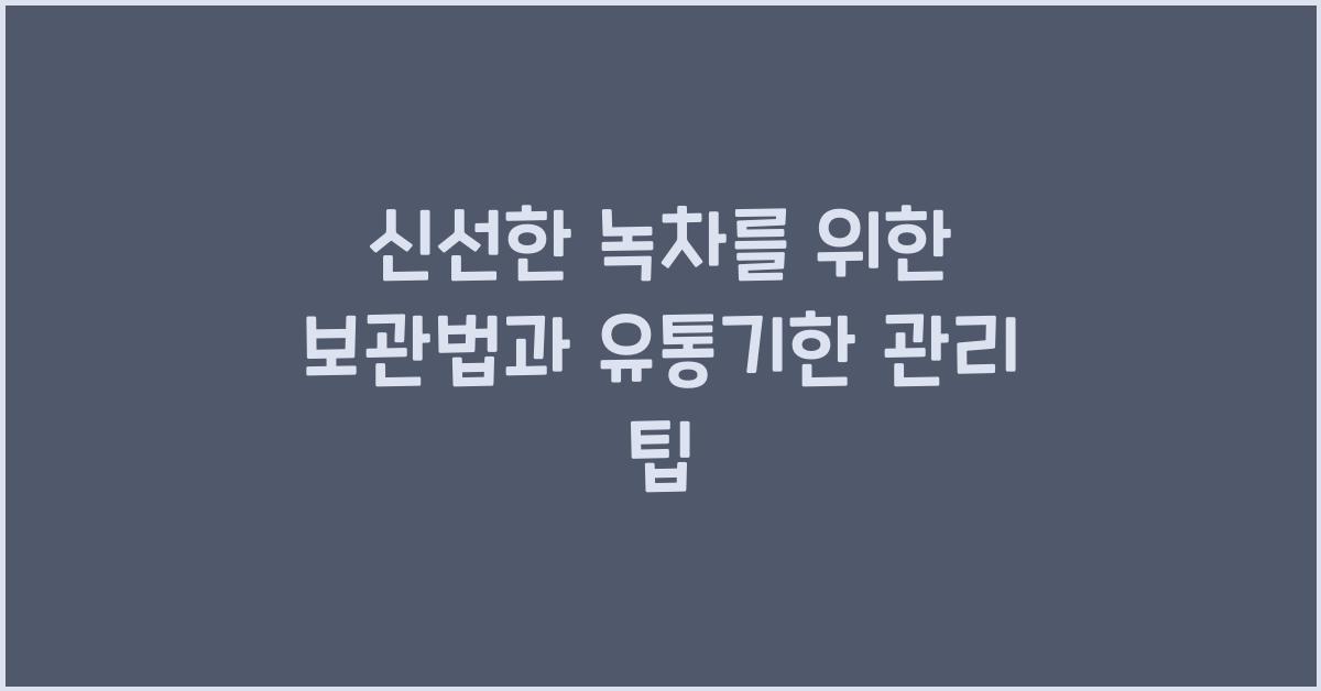 녹차 보관법과 유통기한 관리 팁