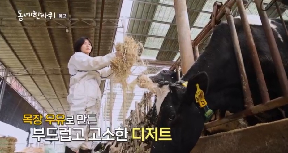 동네한바퀴 경산 목장 우유 디저트 카페 정보