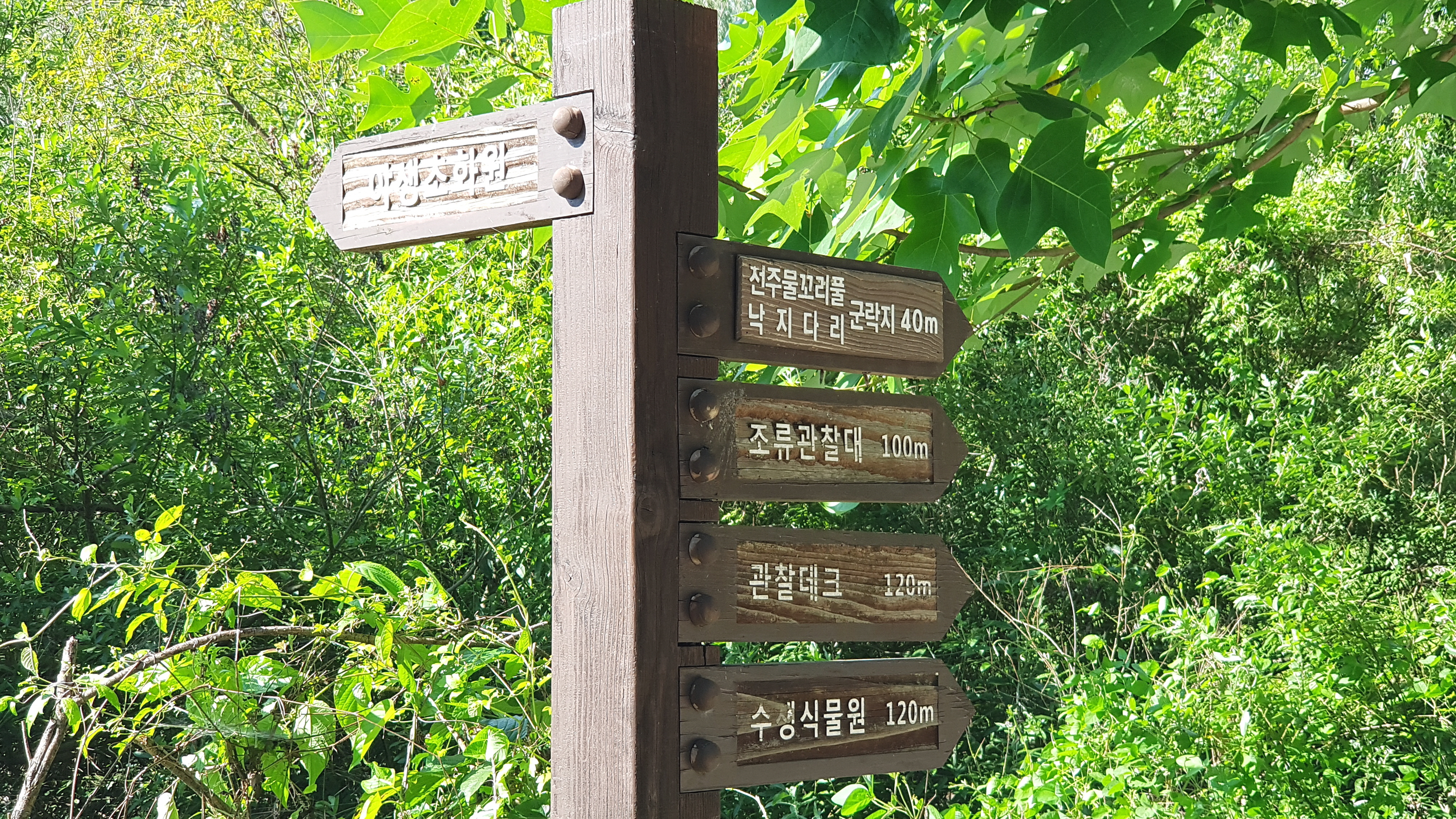 오송제 안내푯말